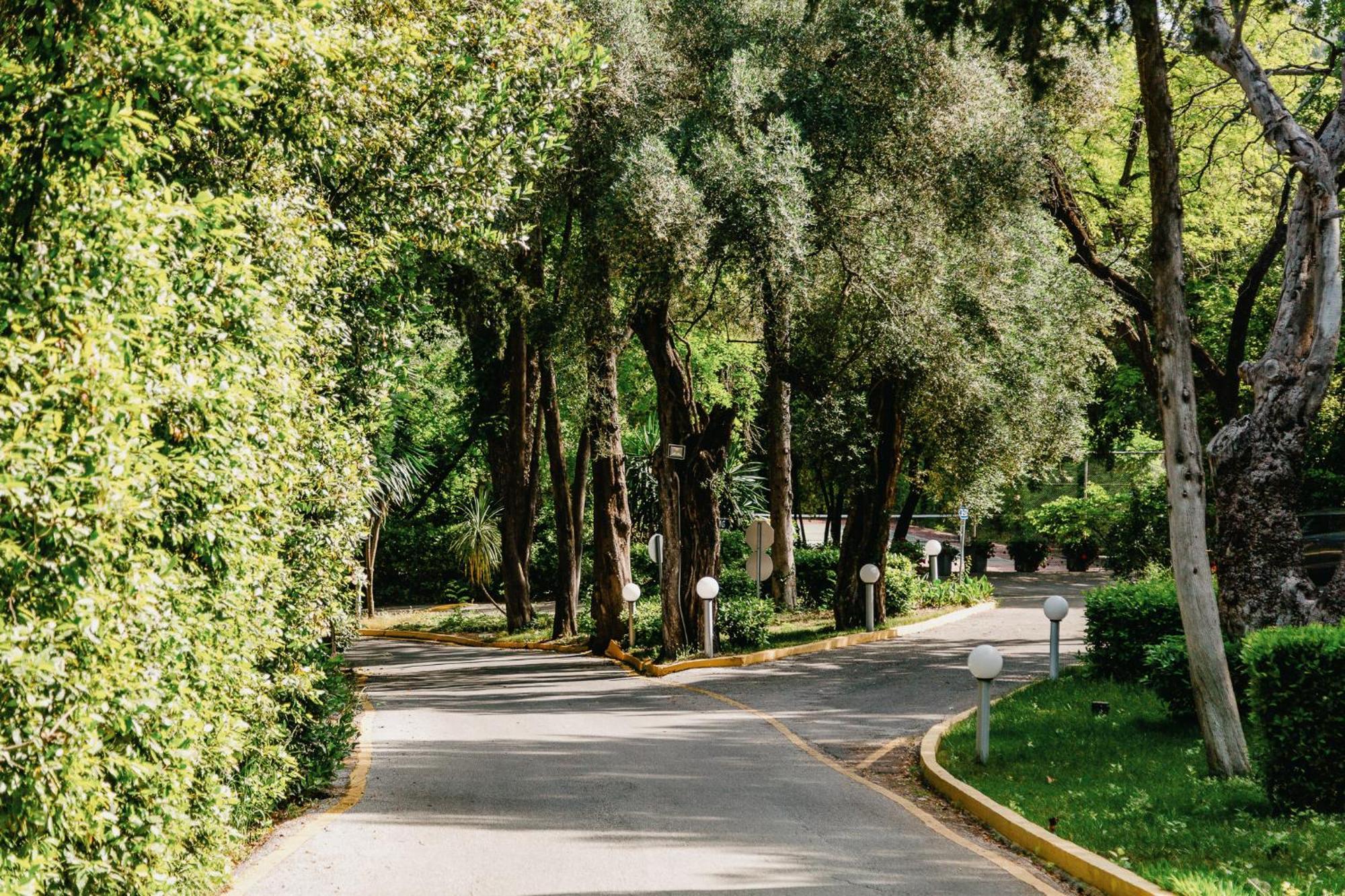 โรงแรมคอร์ฟูฮอลิเดย์พาเลส เปรามา ภายนอก รูปภาพ A street in the neighborhood