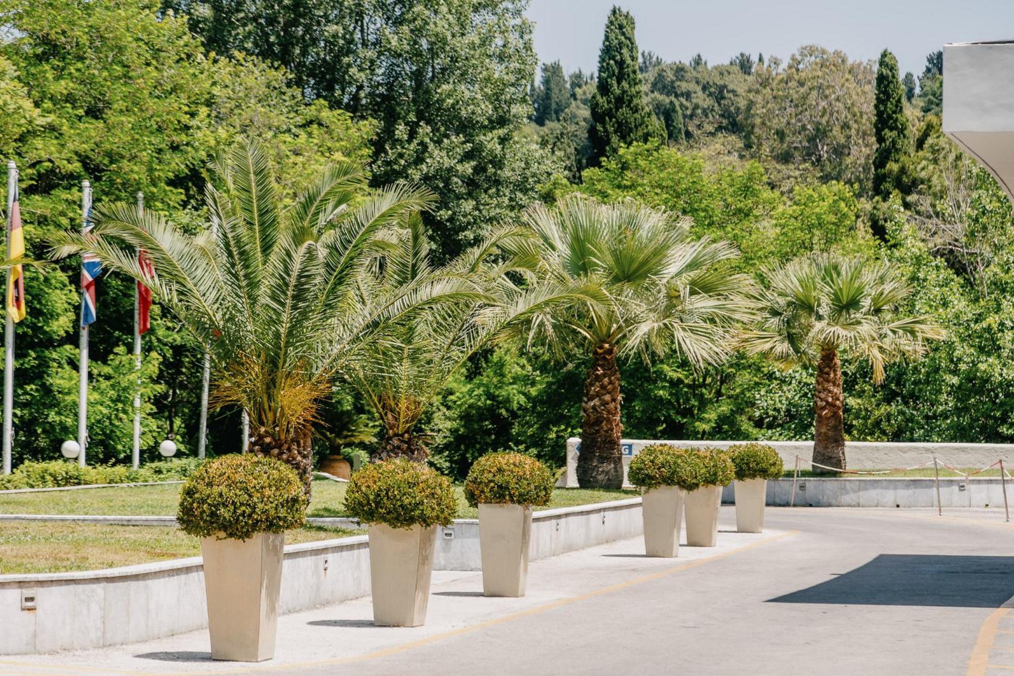โรงแรมคอร์ฟูฮอลิเดย์พาเลส เปรามา ภายนอก รูปภาพ Phoenix canariensis in pots